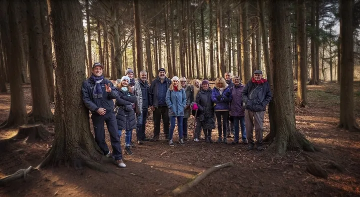 A retreat group gathered among tall pines on a forest bathing walk