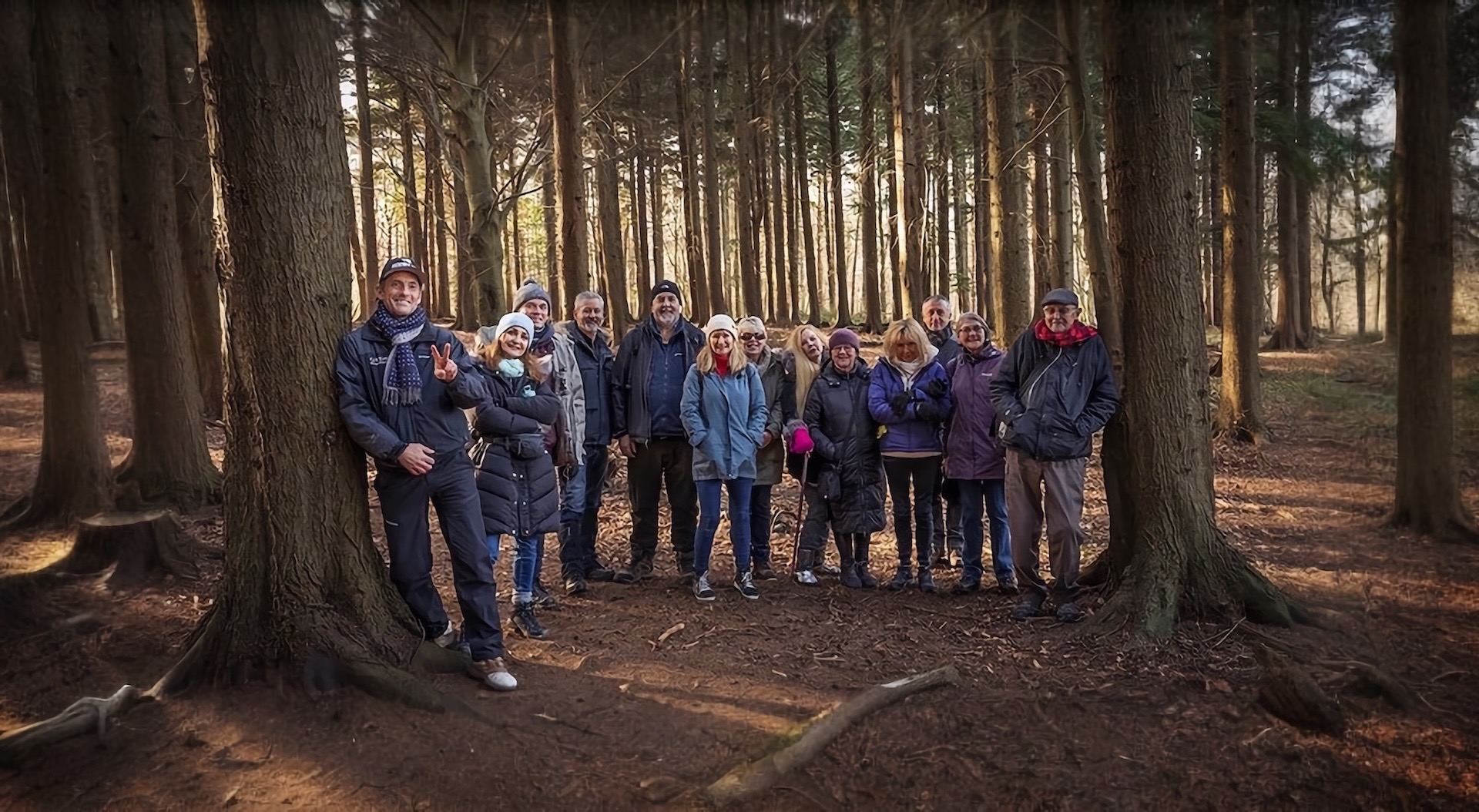 Forest bathing among pine trees